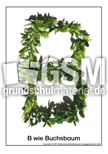 B-wie-Buchsbaum.pdf